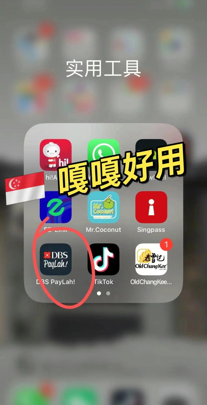 新加坡直播平台_新加坡直播软件有哪些_新加坡直播加速