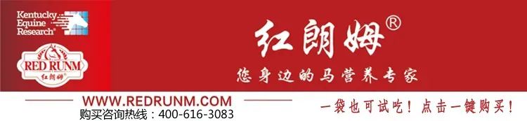 日本主流直播平台_日本直播专线_日本直播地址