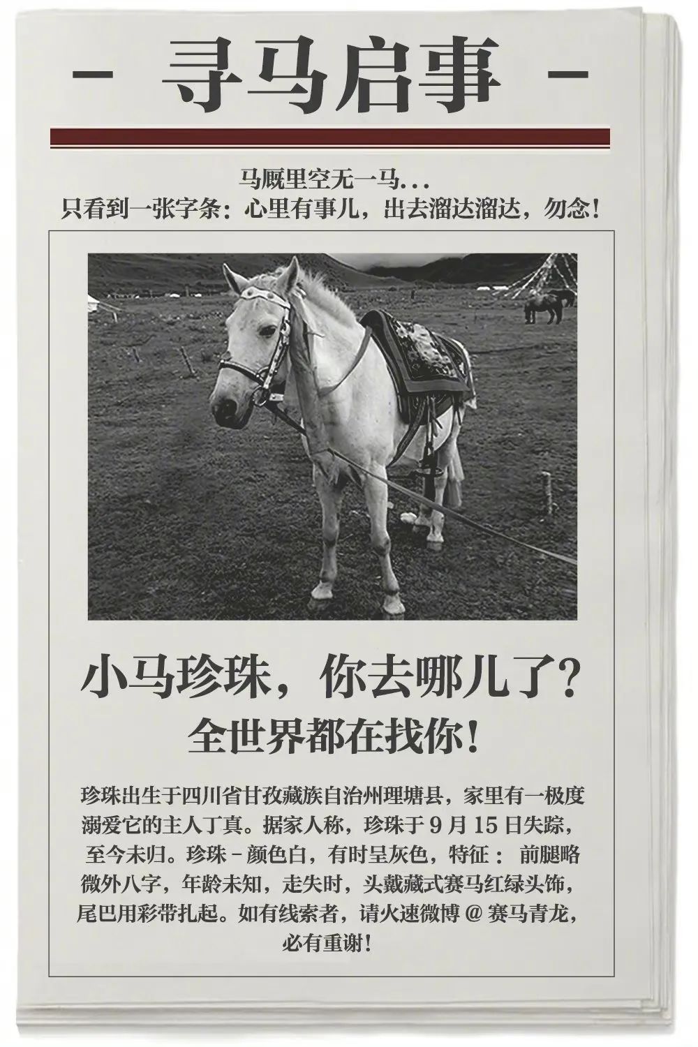 日本直播地址_日本主流直播平台_日本直播专线