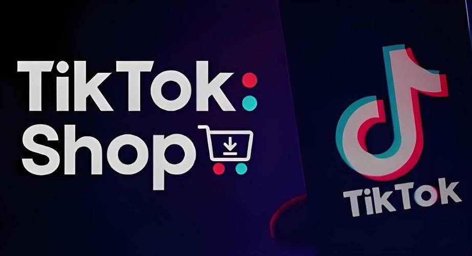 tiktok埃及直播ip_TikTok网红带货培训_TikTok非洲电商市场