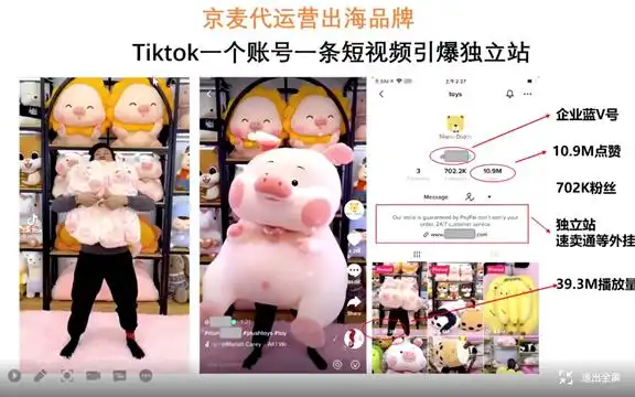 京麦助力跨境电商商家Tiktok布局_京麦跨境电商Tiktok全球布局_tiktok跨境直播ip