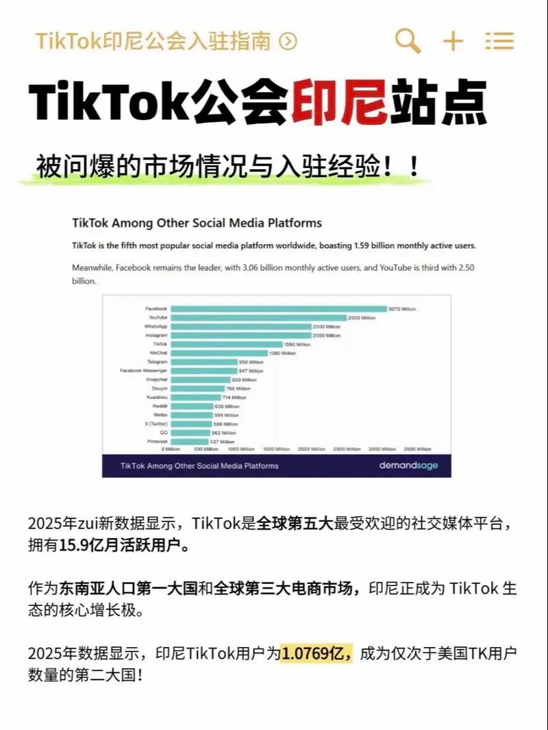 印尼tiktok直播专线_国内TikTok生态现状-新闻-TikTok专线|TikTok线路|Tiktok直播专线|Tiktok直播线路|Tiktok短视频专线|Tiktok短视频线路