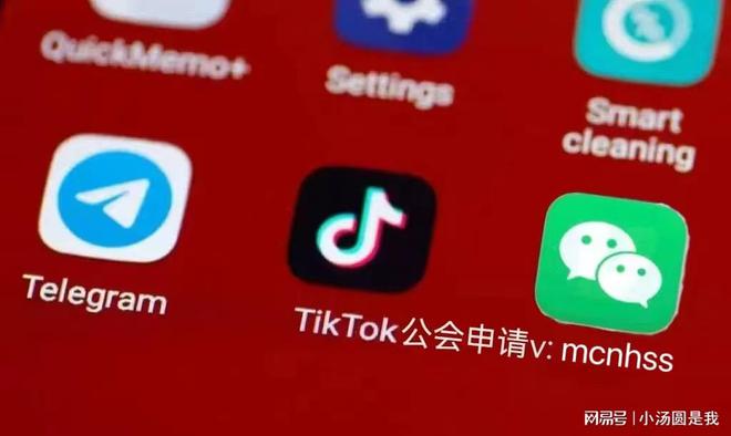 tiktok美国直播加速_Tiktok巴西公会入驻流程-新闻-TikTok专线|TikTok线路|Tiktok直播专线|Tiktok直播线路|Tiktok短视频专线|Tiktok短视频线路
